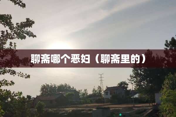 聊斋哪个恶妇（聊斋里的）
