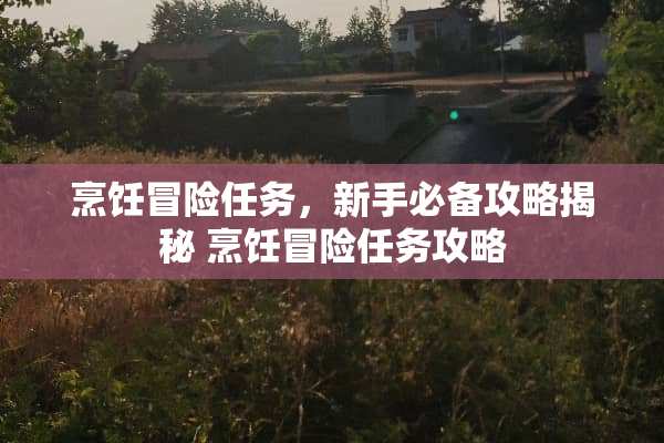 烹饪冒险任务，新手必备攻略揭秘 烹饪冒险任务攻略