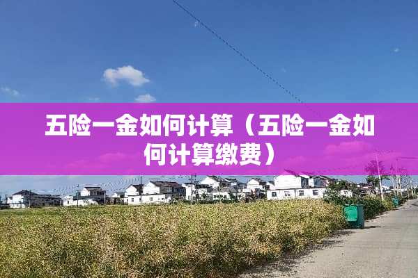 五险一金如何计算（五险一金如何计算缴费）