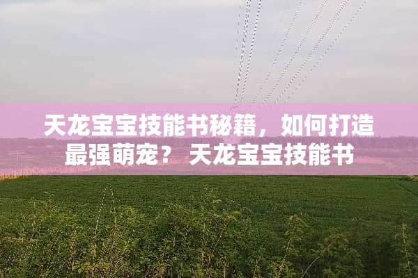 天龙宝宝技能书秘籍，如何打造最强萌宠？ 天龙宝宝技能书