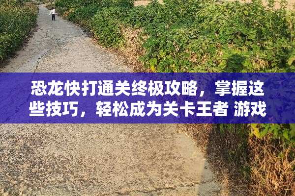 恐龙快打通关终极攻略，掌握这些技巧，轻松成为关卡王者 游戏恐龙快打通关攻略