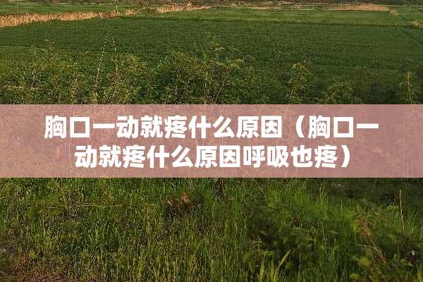胸口一动就疼什么原因（胸口一动就疼什么原因呼吸也疼）
