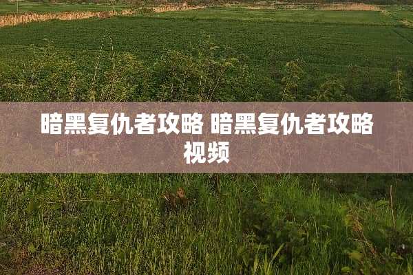暗黑复仇者攻略 暗黑复仇者攻略视频
