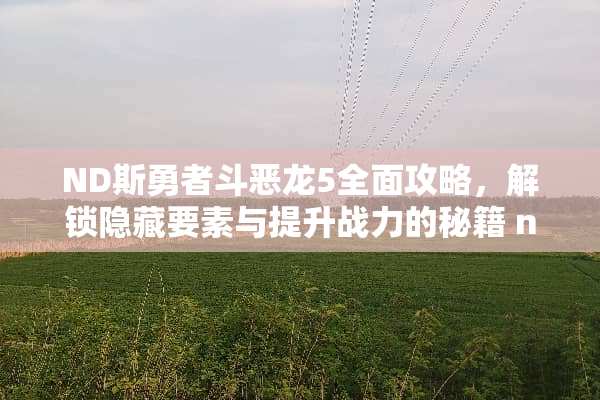 ND斯勇者斗恶龙5全面攻略，解锁隐藏要素与提升战力的秘籍 nds勇者斗恶龙5攻略