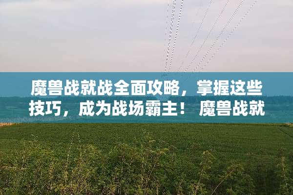 魔兽战就战全面攻略，掌握这些技巧，成为战场霸主！ 魔兽战就战攻略