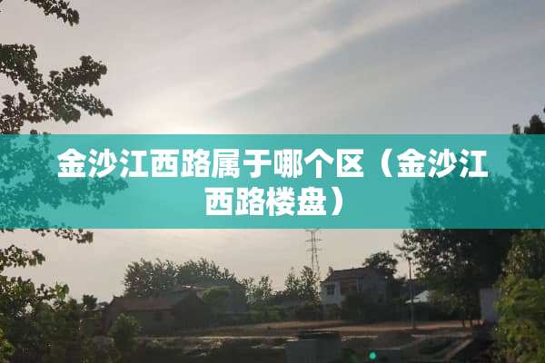 金沙江西路属于哪个区（金沙江西路楼盘）