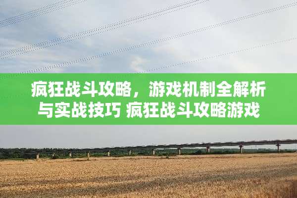 疯狂战斗攻略，游戏机制全解析与实战技巧 疯狂战斗攻略游戏