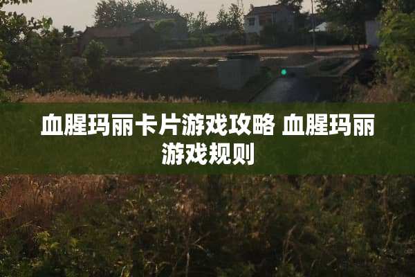 血腥玛丽卡片游戏攻略 血腥玛丽游戏规则