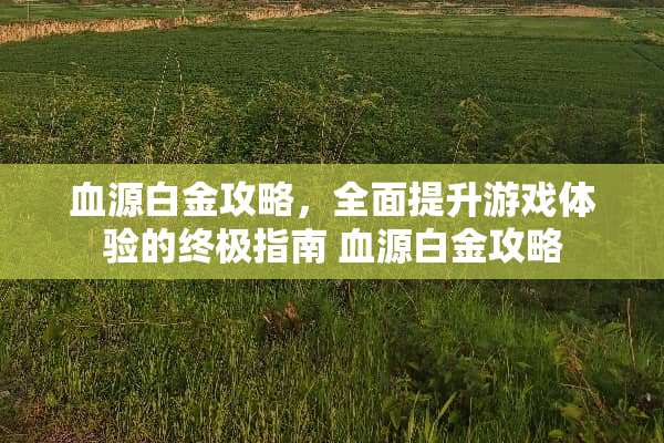 血源白金攻略，全面提升游戏体验的终极指南 血源白金攻略