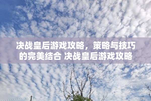 决战皇后游戏攻略，策略与技巧的完美结合 决战皇后游戏攻略