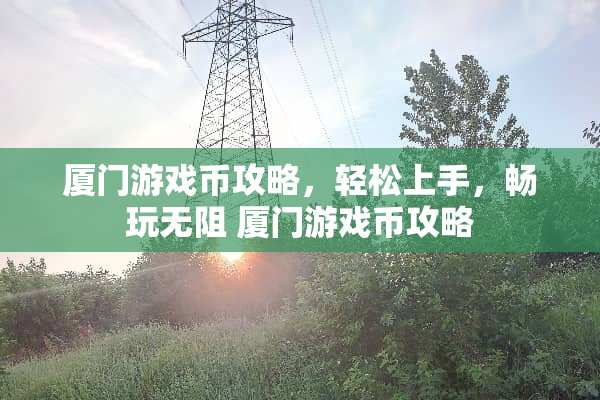 厦门游戏币攻略，轻松上手，畅玩无阻 厦门游戏币攻略