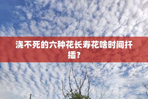 浇不死的六种花长寿花啥时间扦插？