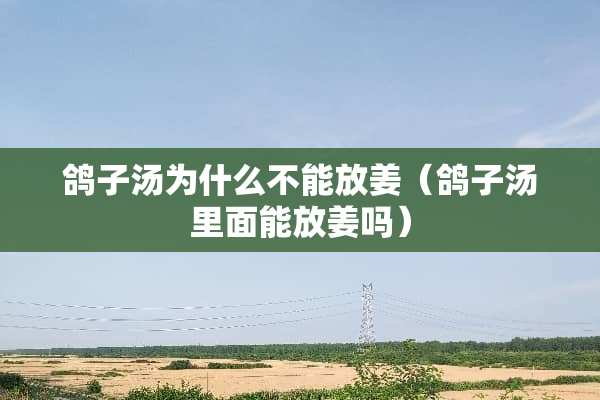 鸽子汤为什么不能放姜（鸽子汤里面能放姜吗）
