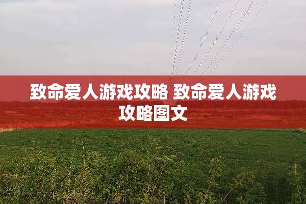 致命爱人游戏攻略 致命爱人游戏攻略图文