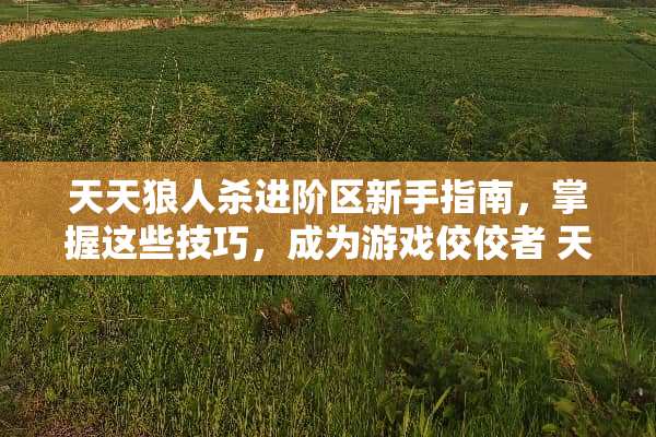 天天狼人杀进阶区新手指南，掌握这些技巧，成为游戏佼佼者 天天狼人杀进阶区玩法