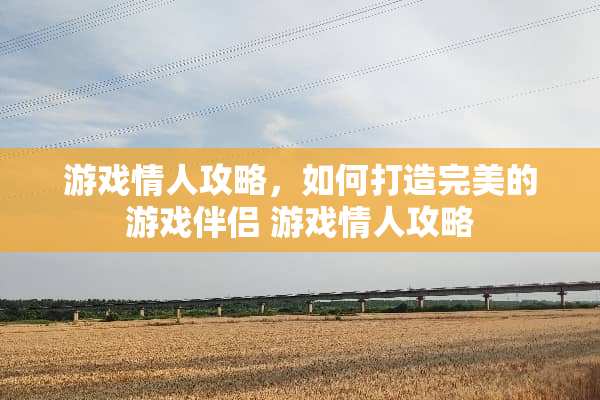 游戏**攻略，如何打造完美的游戏伴侣 游戏**攻略