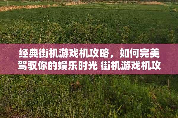 经典街机游戏机攻略，如何完美驾驭你的娱乐时光 街机游戏机攻略