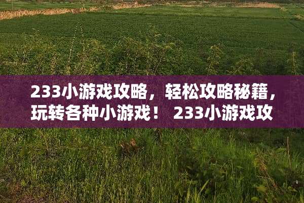 233小游戏攻略，轻松攻略秘籍，玩转各种小游戏！ 233小游戏攻略