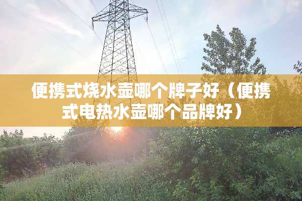 便携式烧水壶哪个牌子好（便携式电热水壶哪个品牌好）