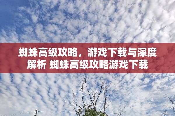 蜘蛛高级攻略，游戏下载与深度解析 蜘蛛高级攻略游戏下载