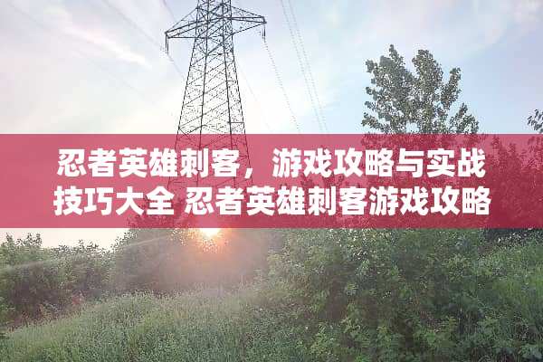 忍者英雄刺客，游戏攻略与实战技巧大全 忍者英雄刺客游戏攻略