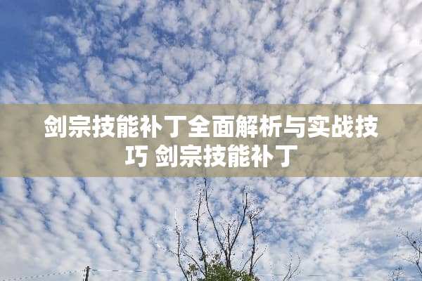 剑宗技能补丁全面解析与实战技巧 剑宗技能补丁