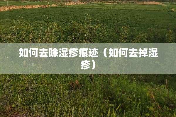 如何去除湿疹痕迹（如何去掉湿疹）
