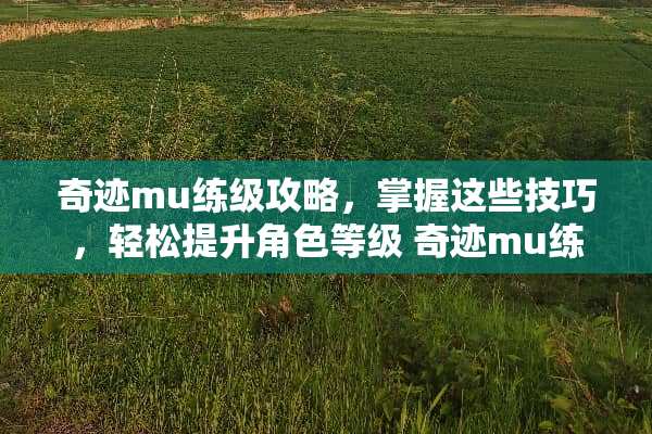 奇迹mu练级攻略，掌握这些技巧，轻松提升角色等级 奇迹mu练级攻略