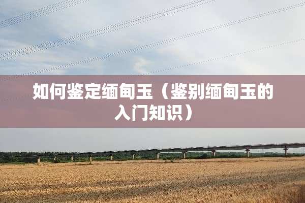 如何鉴定缅甸玉（鉴别缅甸玉的入门知识）