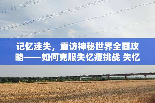 记忆迷失，重访神秘世界全面攻略——如何克服失忆症挑战 失忆症游戏攻略
