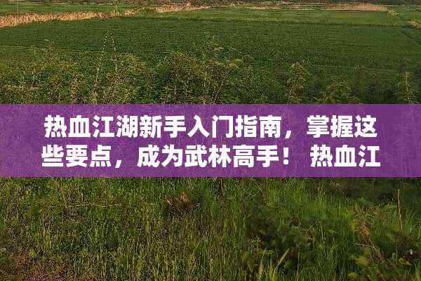 热血江湖新手入门指南，掌握这些要点，成为武林高手！ 热血江湖新手攻略