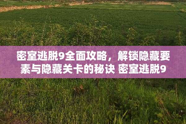 密室逃脱9全面攻略，解锁隐藏要素与隐藏关卡的秘诀 密室逃脱9攻略