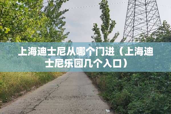 上海迪士尼从哪个门进（上海迪士尼乐园几个入口）
