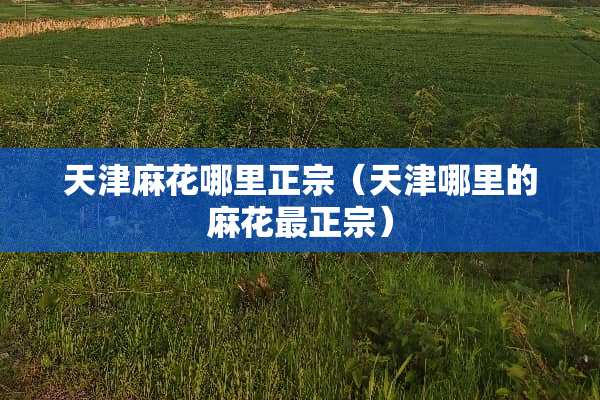 天津麻花哪里正宗（天津哪里的麻花最正宗）