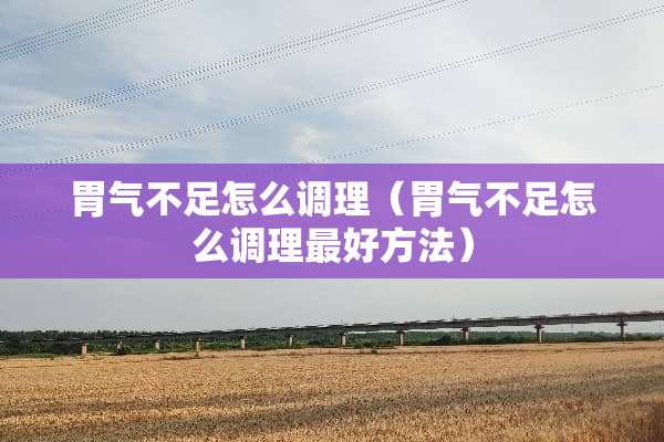 胃气不足怎么调理（胃气不足怎么调理最好方法）