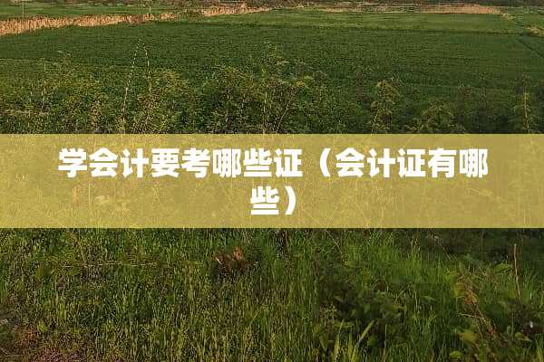 学会计要考哪些证（***有哪些）