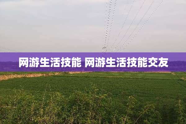 网游生活技能 网游生活技能交友