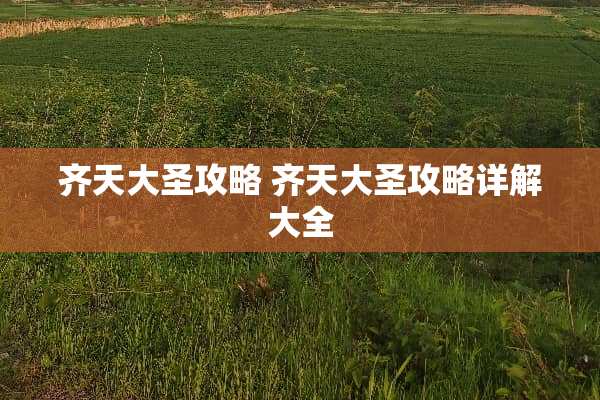 齐天大圣攻略 齐天大圣攻略详解大全