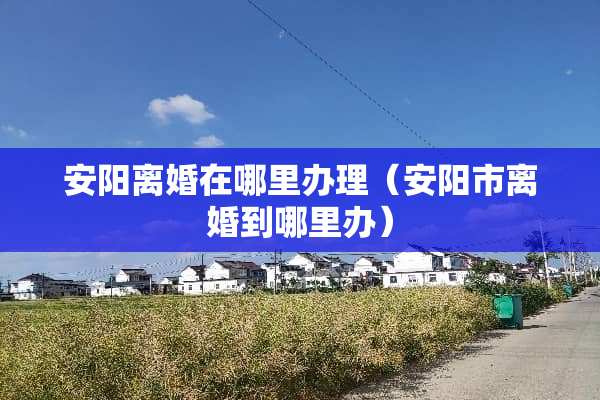 安阳**在哪里办理（安阳市**到哪里办）