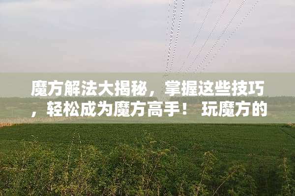 魔方解法大揭秘，掌握这些技巧，轻松成为魔方高手！ 玩魔方的技巧和玩法