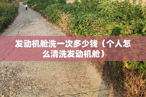 发动机舱洗一次多少钱（个人怎么清洗发动机舱）