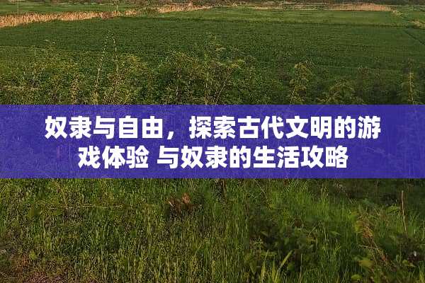 *隶与自由，探索古代文明的游戏体验 与*隶的生活攻略