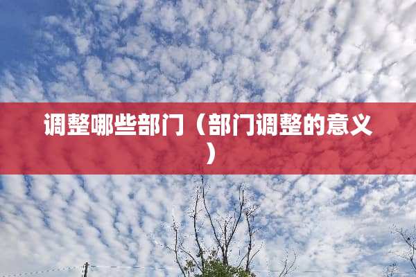 调整哪些部门（部门调整的意义）