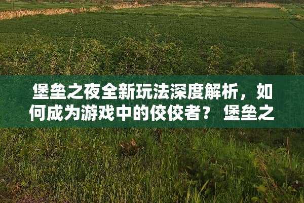 堡垒之夜全新玩法深度解析，如何成为游戏中的佼佼者？ 堡垒之夜玩法介绍
