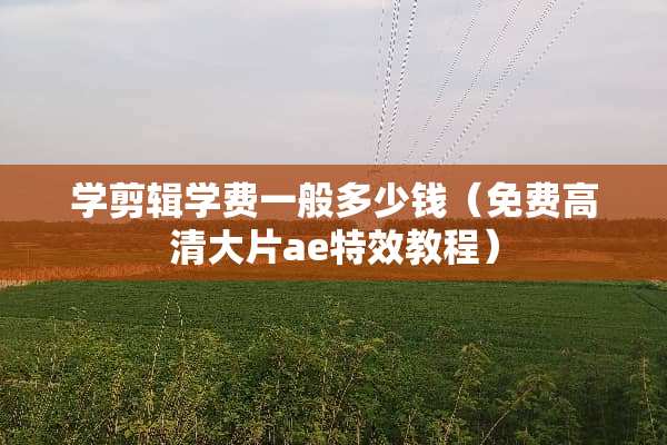 学剪辑学费一般多少钱（免费高清大片ae特效教程）