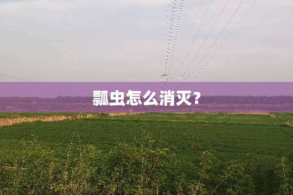 瓢虫怎么消灭？
