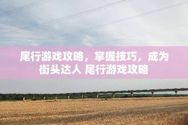 **游戏攻略，掌握技巧，成为街头达人 **游戏攻略
