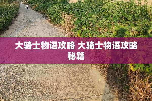 大骑士物语攻略 大骑士物语攻略秘籍
