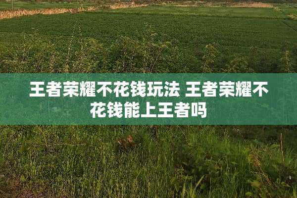 王者荣耀不花钱玩法 王者荣耀不花钱能上王者吗