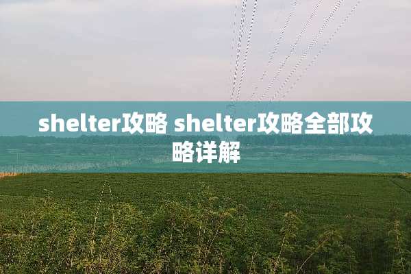 shelter攻略 shelter攻略全部攻略详解